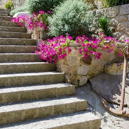 Arenella